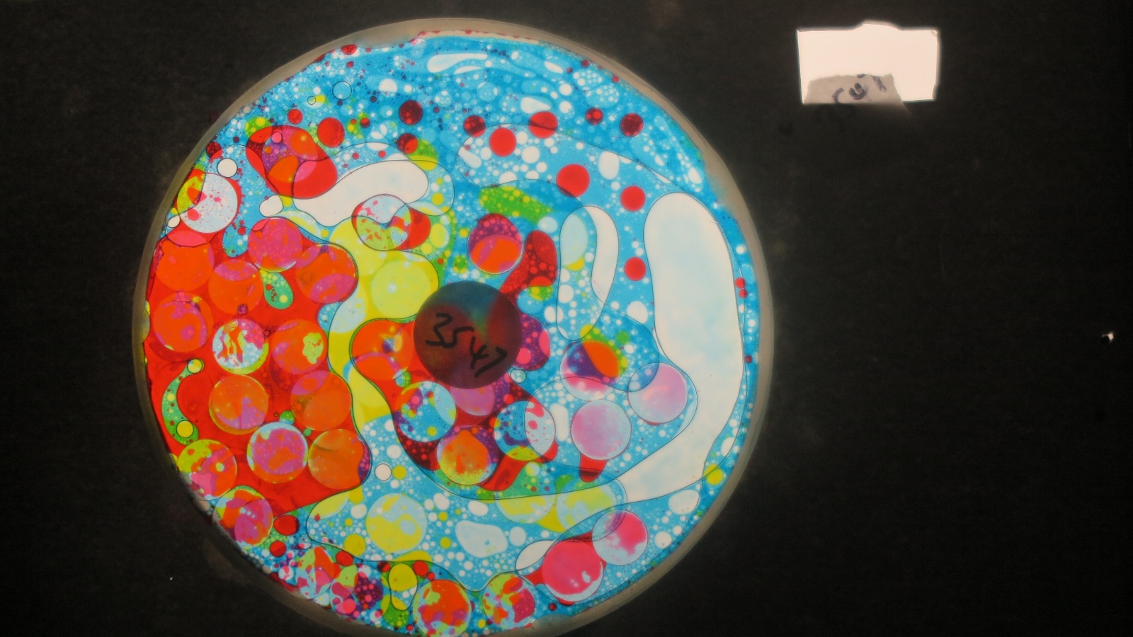 BV3548 bubble vision oil wheel